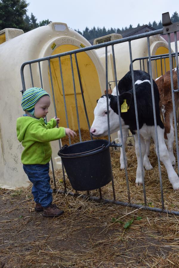 Ferienhof Schricker Marktleuthen Exteriör bild